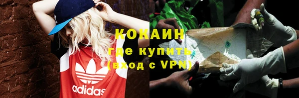 ECSTASY Богданович
