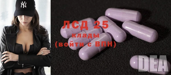 стаф Богородицк