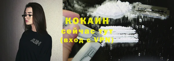 стаф Богородицк