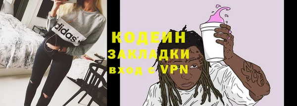 ECSTASY Богданович