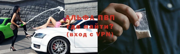 ECSTASY Богданович