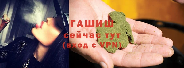 ECSTASY Богданович