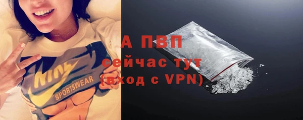 ECSTASY Богданович