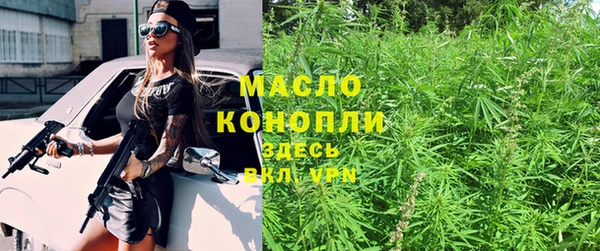 ECSTASY Богданович