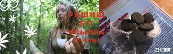 ECSTASY Богданович