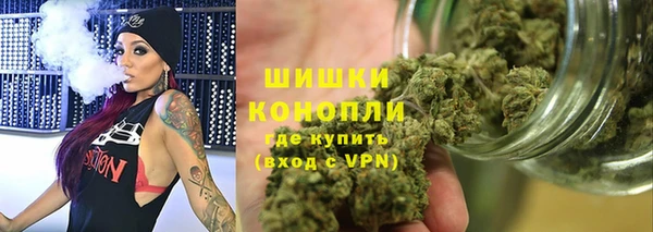 стаф Богородицк