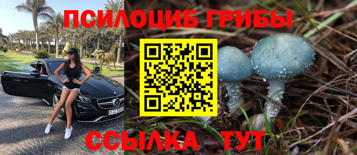 магазин продажи   Вход с VPN  Кузнецк  Псилоцибиновые грибы ЛСД 