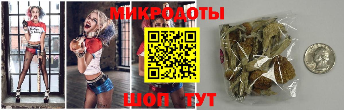 Галлюциногенные грибы мицелий Кузнецк